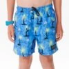 Shred Rock Volley Boardshorts - Boys (8-16 Years) -Wetsuits Ready 02pbbo 8246 1