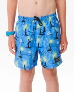 Shred Rock Volley Boardshorts - Boys (8-16 Years)