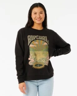 Cosmic Wanderer Crew