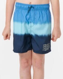 Pure Surf Dip Volley Boardshorts - Boys (8-16 Years)